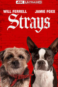 Strays - Posters