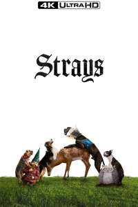 Strays - Posters