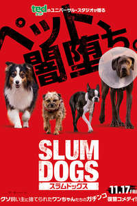 Strays - Posters