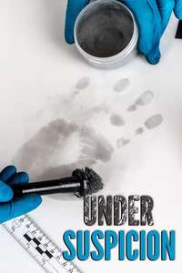 Under Suspicion - Poster