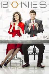 Bones - Posters