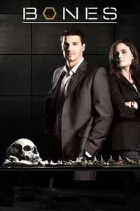 Bones - Posters