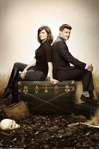 Bones - Posters
