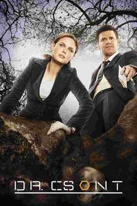 Bones - Posters