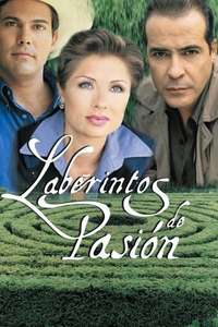 Labyrinth of Passion - Poster