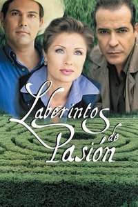 Labyrinth of Passion - Poster