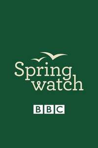 Springwatch - Poster