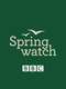 Springwatch
