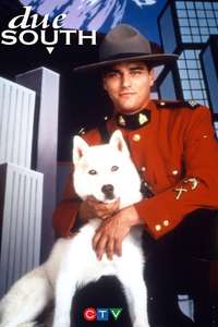 Due South - Poster