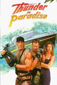 Thunder in Paradise - Poster