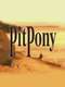 Pit Pony