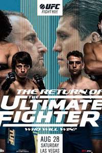The Ultimate Fighter - Poster
