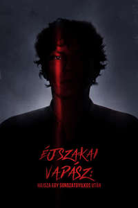 Night Stalker: The Hunt for a Serial Killer - Posters