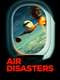 Air Disasters