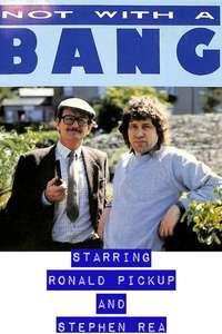 Not with a Bang - Poster