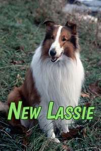 The New Lassie - Poster