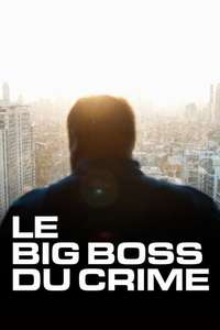 The Big Boss: A 21st Century Criminal - Posters