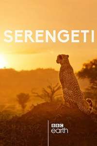 Serengeti - Posters