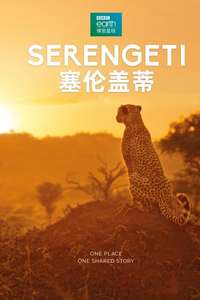 Serengeti - Posters