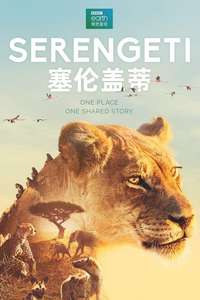 Serengeti - Posters