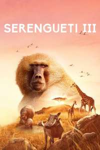 Serengeti - Posters