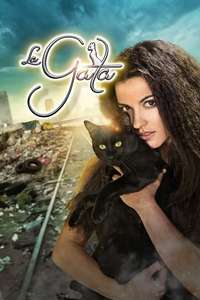 The Stray Cat - Poster