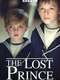 The Lost Prince : Season 1