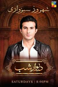 Deewar E Shab - Poster
