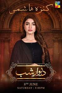 Deewar E Shab - Poster