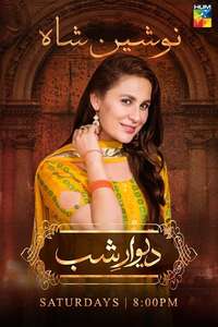 Deewar E Shab - Poster