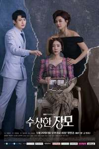 Shady Mom-in-Law - Posters
