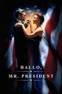 The American President - Poster