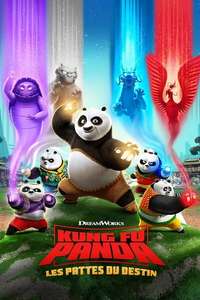 Kung Fu Panda: The Paws of Destiny - Posters