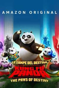 Kung Fu Panda: The Paws of Destiny - Posters