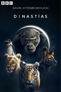 Dynasties - Posters