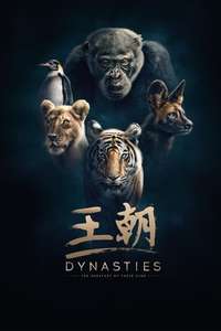 Dynasties - Posters