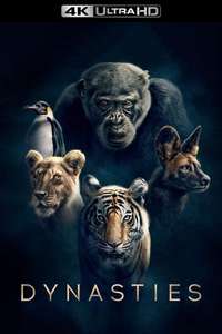 Dynasties - Posters