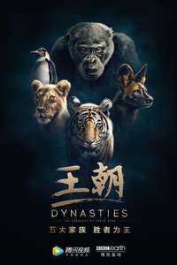Dynasties - Posters