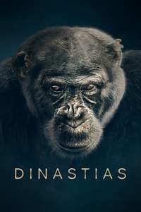 Dynasties - Posters