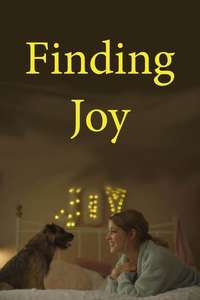 Finding Joy - Posters