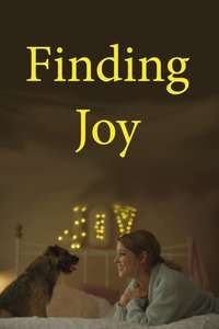 Finding Joy - Posters