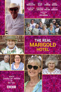 The Real Marigold Hotel - Poster