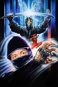 Ninja Champion - Poster