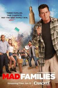 Mad Families - Poster