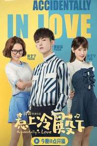 Accidentally in Love - Posters