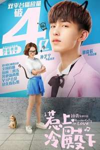 Accidentally in Love - Posters