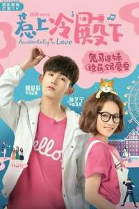 Accidentally in Love - Posters