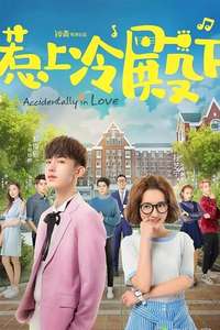 Accidentally in Love - Posters