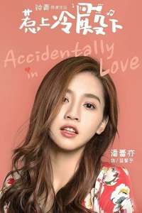 Accidentally in Love - Posters
