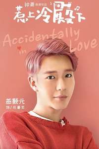Accidentally in Love - Posters